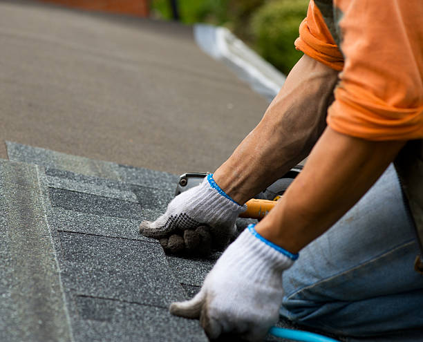 Quick and Trustworthy Emergency Roof Repair Services in Minneapolis, MN